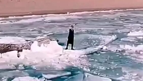 Гүл шоқтарымен жыныстық қатынас