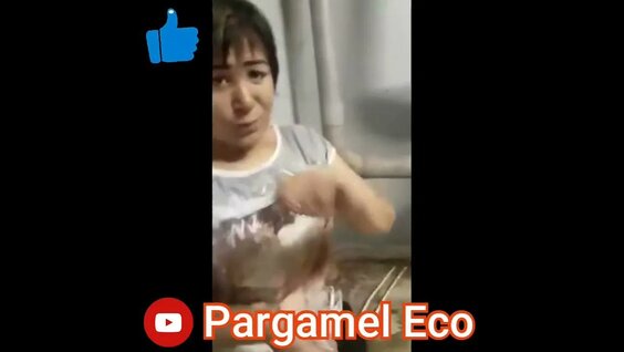 Porno onlayn bepul tomosha qilish