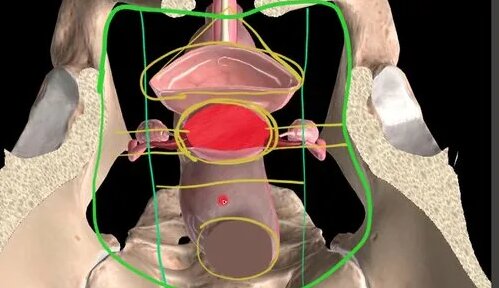 Әкесінің сексі