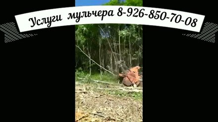Расчистка заросших полей мульчером