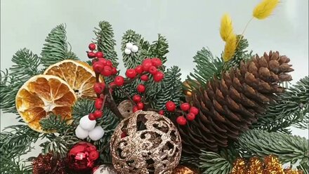 Композиция с нобилисом