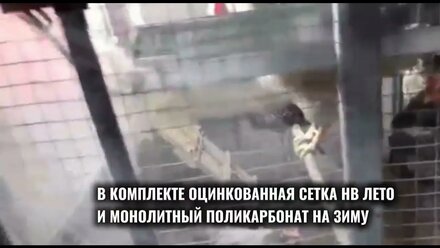 Круглогодичный курятник "Зимняя мечта" с выгулом видео-отзыв