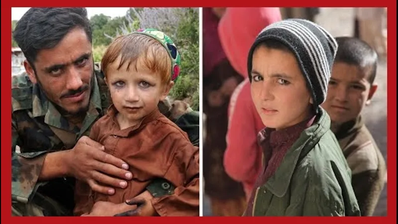 Mushukdagi sikning yaqindan olingan videosi