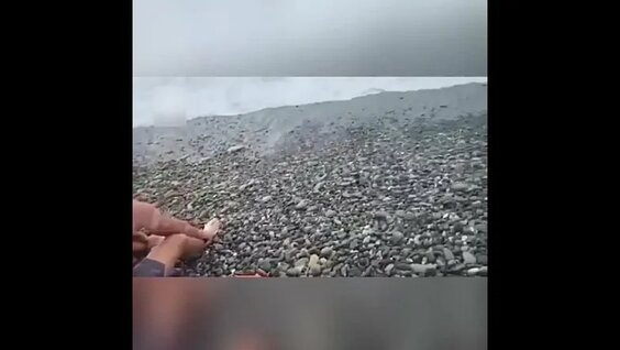 Спасли из моря — Видео от Прямой эфир!
