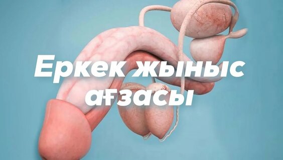 Оның жыныс мүшесі кесілген (бейне)