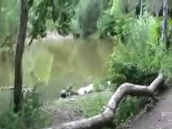 рекреация на въезде на гору 06.07.2016 год