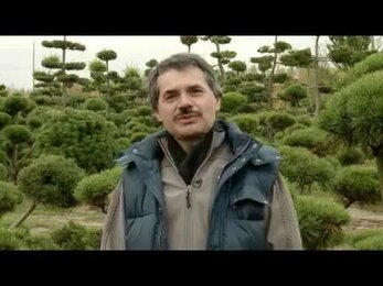 Студия ландшафтного дизайна Компания ЛПБ