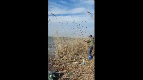 Ловля амура на кукурузу при помощи закормочного кораблика. — Видео от Рыбалка | Сек...