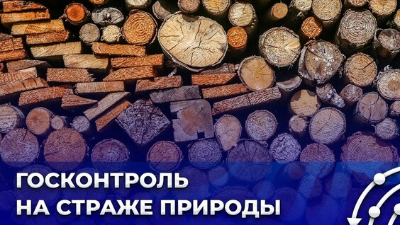Устойчивое лесное хозяйство: как избежать хищений? Главный эфир — Видео от Беларусь 1