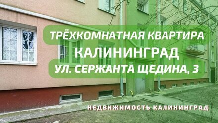 Трёхкомнатная квартира ул Сержанта Щедина | Недвижимость Калининград