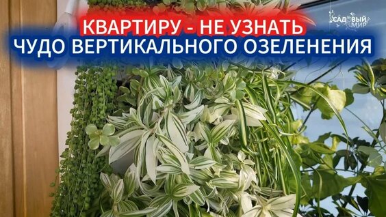 Вертикальный САД В Квартире - Фитостена. Какие Растения Подобрать ДЛЯ Фитостены И КАК Ухажи...