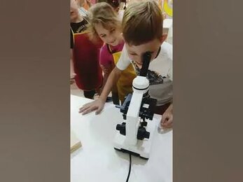 7 сентября 2020 г.