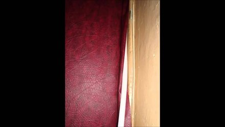 обивка филенчатой дер двери не стандарт