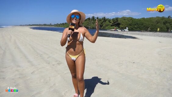 Jenny scordamaglia miami tv