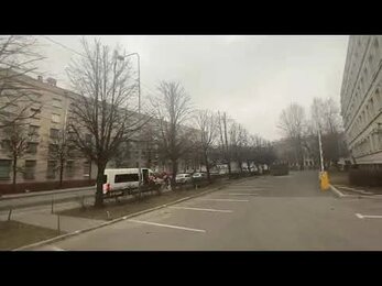 Формировочная обрезка лип