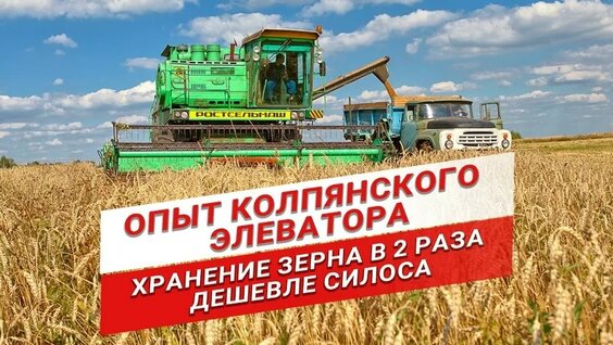 Какой способ хранения зерна самый выгодный?| Склад напольного хранения зерна | Авто…