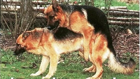 Вуайеризмнің Youtube бейнесі