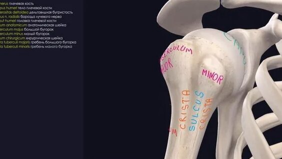Жетілген әйелдерге арналған шұлықтар мен колготки порно