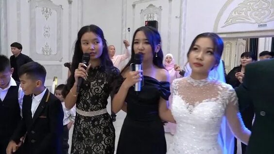 Еркек мүшенің видеосы