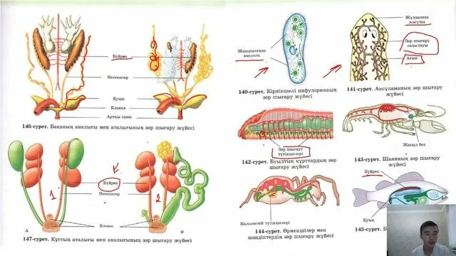 Ұйықтап жатқан әйелмен онлайн анальды секс