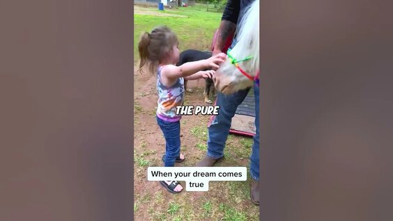 Дәретханада жыныстық қатынас кезінде зәр шығару