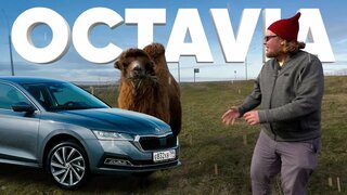 Новая Skoda Octavia - Большой тест-драйв