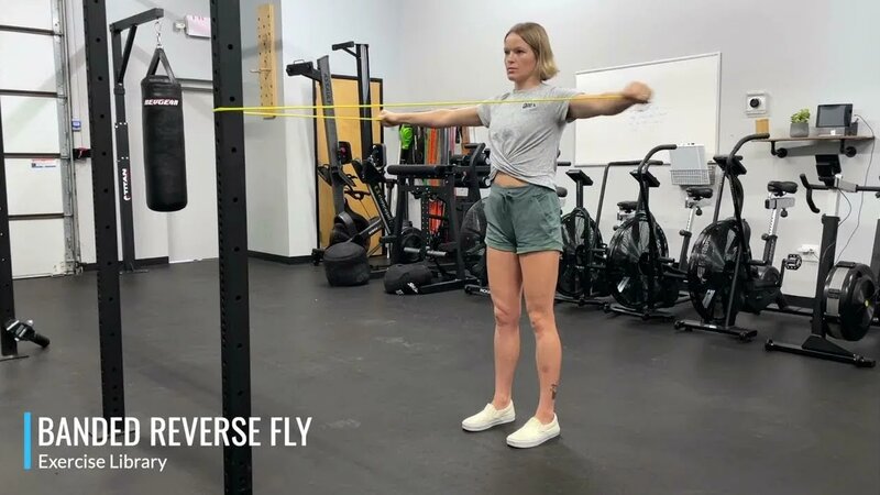 Banded Reverse Fly - Yandex Video aramada çevrimiçi izle
