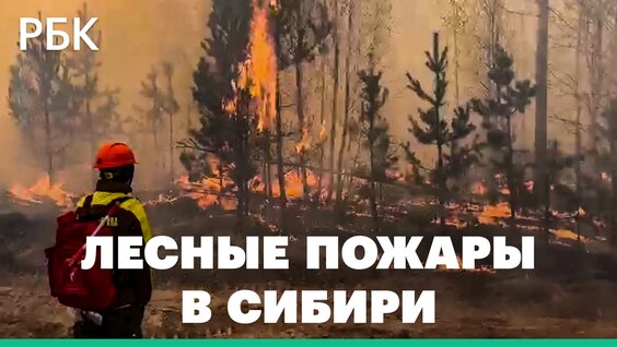 Лесные пожары в Сибири: Красноярский край, Хакасия, Курган. Видео — Видео от РБК