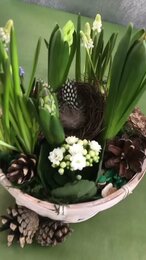 Цветочный садик из луковичных. Ставь 💚 а я покажу как создать весну!