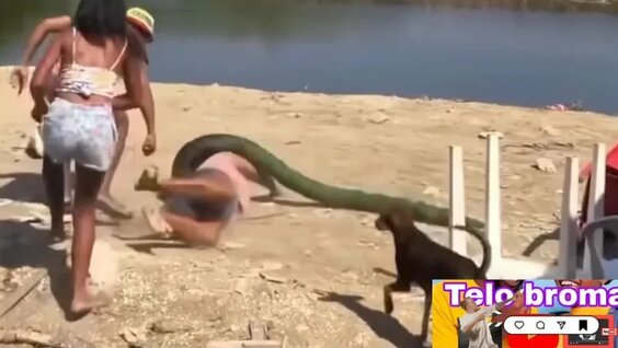 Пранки до мурашек spider prank Подборка смешных розыгрышей — Видео от Территория треша | Ю...