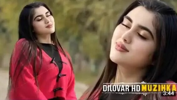 Точики сексуалды бейнесі