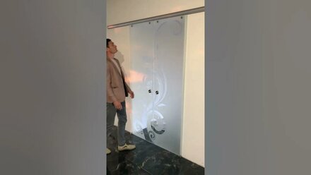 Сдвижные стеклянные двери