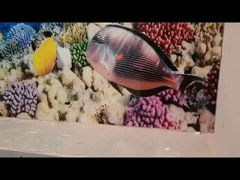 панно подводный мир в ванную комнату