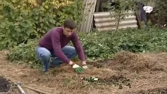 Создания плодородных органических грядок осенью — Видео от Моя дача