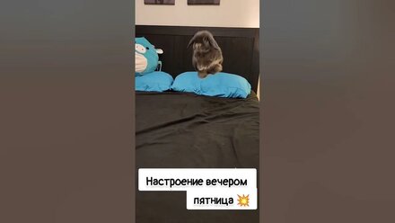 Крышесносное настроение ❤️