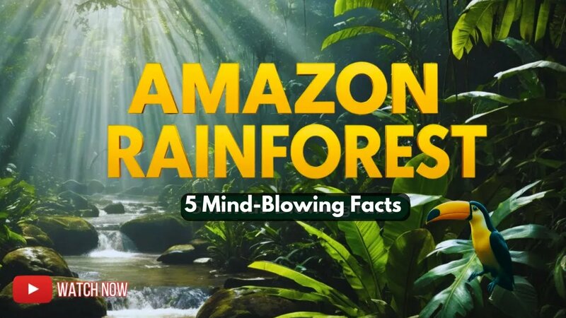 5 Mind-Blowing Facts About the Amazon Rainforest You Didn’t Know ...