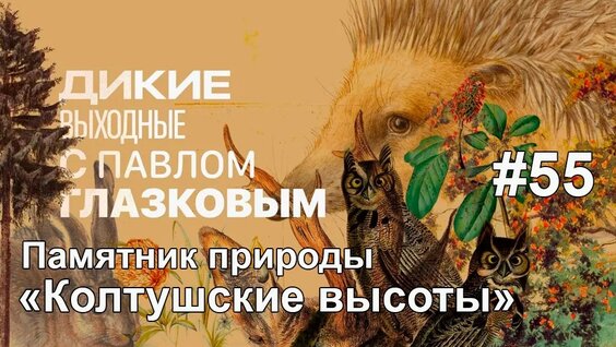Памятник природы "Колтушские высоты" Ленинградская область. — Видео от Каждой...