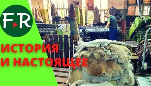 Конец XIX века. Основана овчинно-меховая фабрика для выделки шкур романовских овец — Видео от Главны...