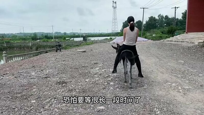 Видео от Noor James — Видео от Noor James - Yandex Video aramada ...