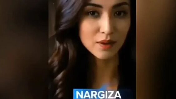 Моллидің үлкен сиськилері