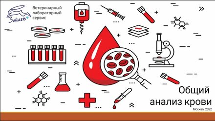 Общий клинический анализ крови. Лекция для студентов Ивановской сельскохозяйственной академии.