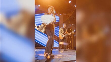 Кавер группа Royal band. Свадьба в замке БИП