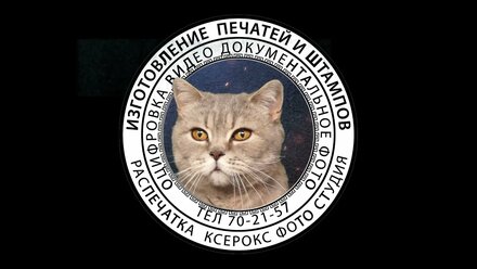 Изготовление печатей в Саратове, оцифровка кассет, брошюровка