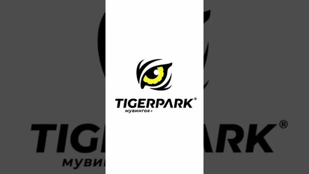 Анимация логотипа Tiger Park