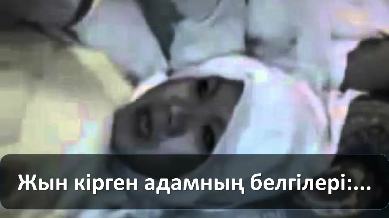 Кішкентай қыздар ебля попки порно без регистрации