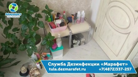 Уничтожение мошек в Туле ДезСлужба Марафет
