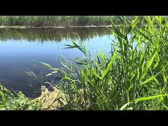 Участок под базу отдыха!!!