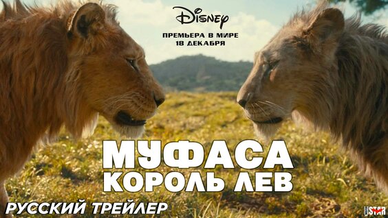 Жыныстық позициялар және сперматозоидтар