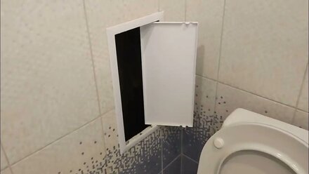 Ремонт двухкомнатной квартиры ЖК 4сезона на пионерском проспекте 100в