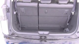2014 New Nissan Elgrand 350Highway STAR Premium - Exterior & Interior